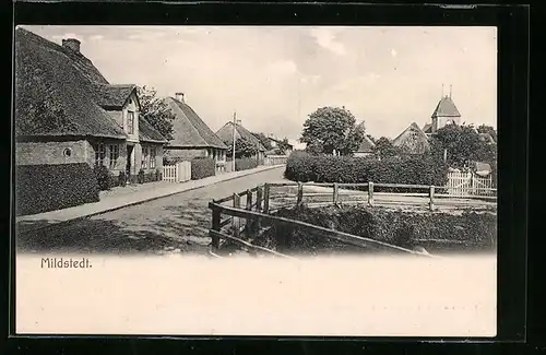 AK Mildstedt, Strassenpartie mit Wohnhäusern