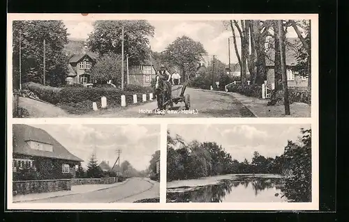 AK Hohn /Holstein, Strassenpartie, Seepartie