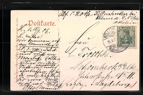 AK Dahme i. Holst., Hotel u. Pension Hamburger-Heim von Th. Schöning