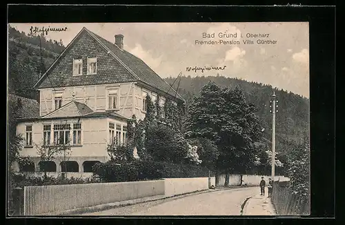 AK Bad Grund im Oberharz, Hotel-Pension Villa Günther von der Strasse gesehen