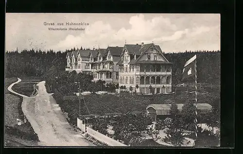 AK Hahnenklee, Villenkolonie Weissleder aus der Vogelschau