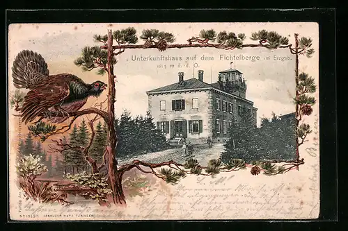 Passepartout-Lithographie Fichtelberg /Erzgebirge, Unterkunftshaus, Tannenzapfenund Fasan