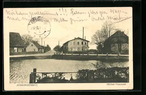 AK Schwarzenbek, Möllner Chaussee mit Kindern