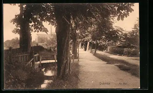 AK Doberan, Strasse am Wall mit Kirche