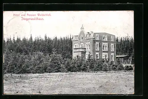 AK Stegenwaldhaus, Hotel und Pension Waldschloss