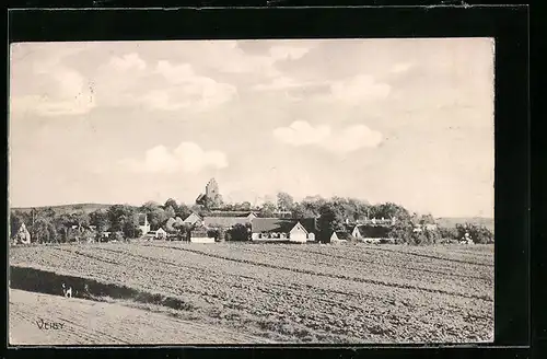 AK Veiby, Panorama