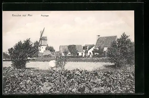 AK Knocke-sur-Mer, Paysage, Windmühle