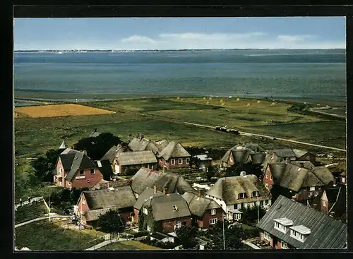 AK Hallig Oland, Blick auf Häuser und die Nordsee