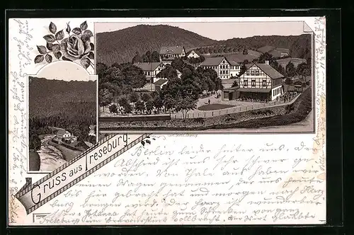 Lithographie Treseburg, Ortsansicht, Flusspartie