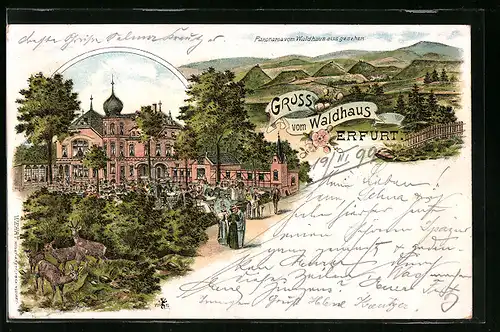 Lithographie Erfurt, Restaurant Waldhaus, Panorama vom Waldhaus aus