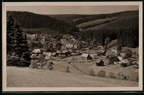 Fotografie Brück & Sohn Meissen, Ansicht Wildenthal i. Erzg., Blick nach dem Ort mit Wohnhäusern