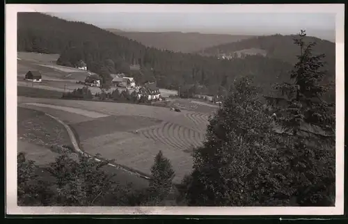 Fotografie Brück & Sohn Meissen, Ansicht Schellerhau i. Erzg., Teilansicht des Ortes vom Wald aus gesehen