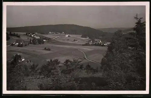 Fotografie Brück & Sohn Meissen, Ansicht Schellerhau i. Erzg., Blick auf den Ort vom Wald aus