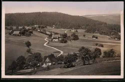 Fotografie Brück & Sohn Meissen, Ansicht Schellerhau i. Erzg., Teilansicht des Ortes mit Wohnhäusern