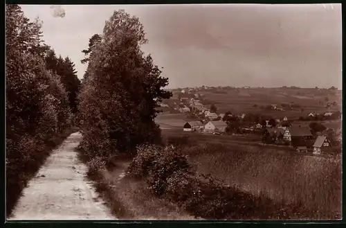 Fotografie Brück & Sohn Meissen, Ansicht Hetzdorf-Herrndorf, Waldweg mit Blick zum Ort