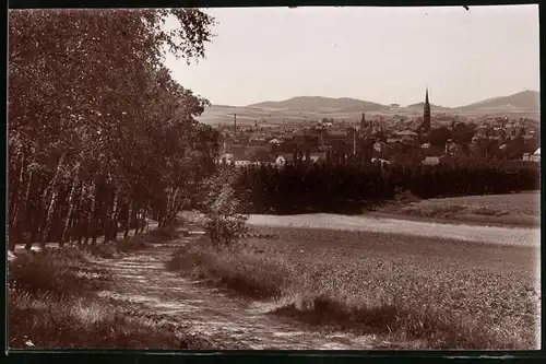 Fotografie Brück & Sohn Meissen, Ansicht Löbau i. Sa., Feldweg mit Blick auf die Stadt, Birkenwald
