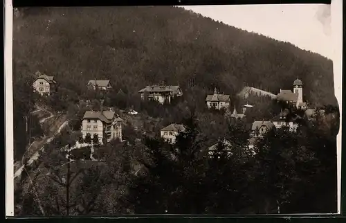 Fotografie Brück & Sohn Meissen, Ansicht Kipsdorf i. Erzg., Blick in den Ort mit Villen