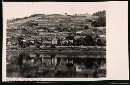 Fotografie Brück & Sohn Meissen, Ansicht Meissen i. Sa., Blick nach dem Weingut Rote Presse