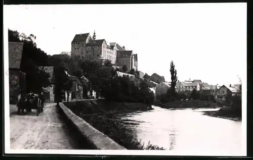 Fotografie Brück & Sohn Meissen, Ansicht Colditz i. Sa., Strassenpartie an der Mulde mit Blick zum Schloss
