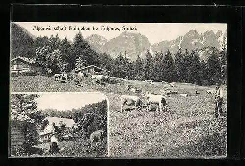 AK Telfes /Stubai, Alpengasthaus Frohneben, Ortspartie mit weidenden Kühen