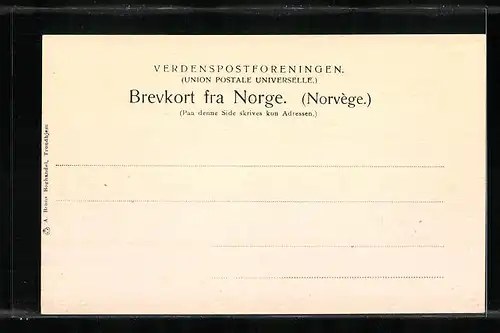 AK Trondheim, der Ort aus der Vogelschau mit Strassenbahn