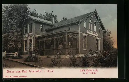 AK Bad Albersdorf i. Holst., Cafe Waldesruh