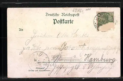 Lithographie Plau i. M., Ortsansicht mit Dampfer, Logierhaus auf dem Klüschenberg