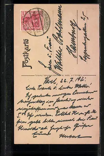 AK Varel /Oldbg., Gasthaus Deutsche Eiche, Rutschbahn