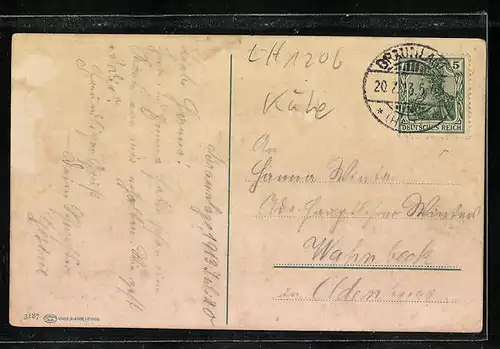 AK Braunlage /Harz, Viehtrieb im Ortskern