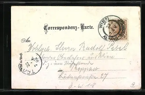 Lithographie Wien, Stefanskirche und Graben