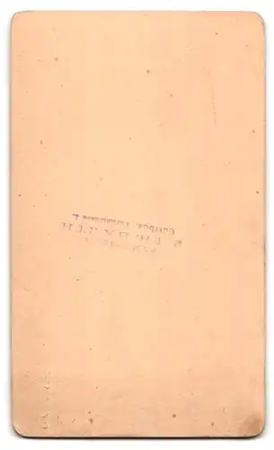 Fotografie B. Th. Barth, Cottbus, Turnstr. 4, Bürgerliche Dame mit einem Album