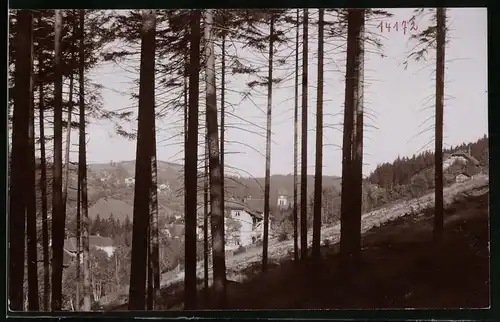 Fotografie Brück & Sohn Meissen, Ansicht Kipsdorf i. Erzg., Blick aus dem Wald in den Ort