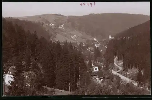 Fotografie Brück & Sohn Meissen, Ansicht Kipsdorf i. Erzg., Brück & Sohn Meissen, Blick in das Tal mit Wohnhäusern
