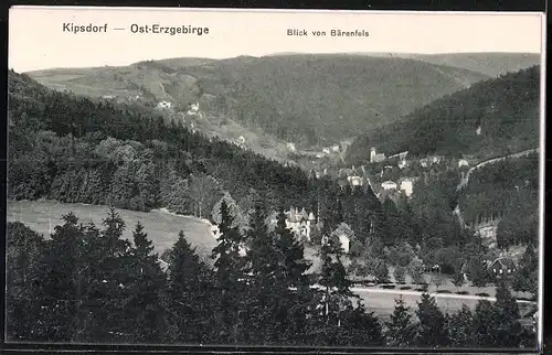 Fotografie Brück & Sohn Meissen, Ansicht Kipsdorf i. Erzg., Teilansicht des Ortes mit Kirche