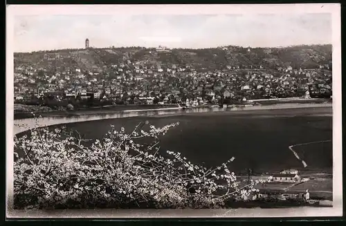 Fotografie Brück & Sohn Meissen, Ansicht Radebeul-Kötzschenbroda, Blick über die Lössnitz nach dem Ort