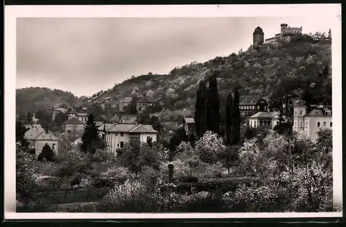 Fotografie Brück & Sohn Meissen, Ansicht Radebeul-West, Partie im Ort mit Blick zum Berggasthaus Friedensburg