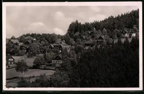 Fotografie Brück & Sohn Meissen, Ansicht Bärenfels i. Erzg., Blick auf die Villen im Ort
