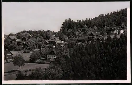 Fotografie Brück & Sohn Meissen, Ansicht Bärenfels i. Erzg., Teilansicht der Villen im Ort