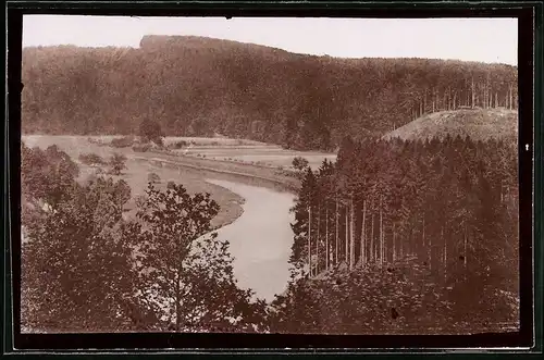 Fotografie Brück & Sohn Meissen, Ansicht Wechselburg a. d. Mulde, Waldpartie an der Mulde