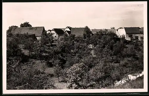 Fotografie Brück & Sohn Meissen, Ansicht Winkwitz, Blick in den Ort mit Wohnhäusern