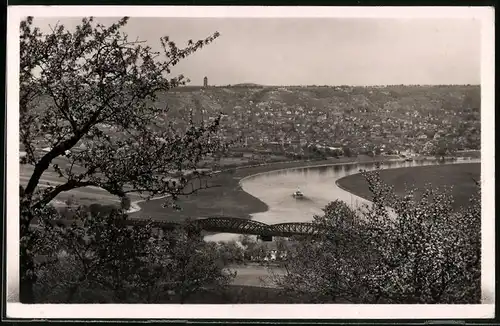 Fotografie Brück & Sohn Meissen, Ansicht Kötzschenbroda, Blick über die Eisenbahnbrücke auf die Stadt mit Lössnitzpartie