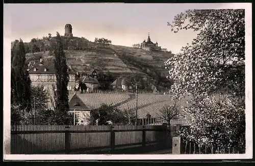 Fotografie Brück & Sohn Meissen, Ansicht Radebeul, Partie am Weingut mit Blick zum Bismarckturm und Spitzhaus