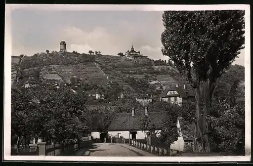Fotografie Brück & Sohn Meissen, Ansicht Radebeul, Strassenpartie im Ort mit Wohnhaus und Blick zum Bismarckturm
