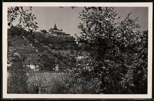 Fotografie Brück & Sohn Meissen, Ansicht Radebeul, Blick vom Weingut Hofmannberg zum Spitzhaus
