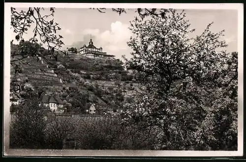 Fotografie Brück & Sohn Meissen, Ansicht Radebeul, Teilansicht aus dem Ort hoch zum Spitzhaus