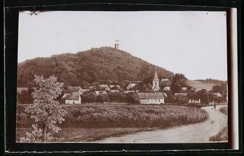 Fotografie Brück & Sohn Meissen, Ansicht Collm, Blick auf Collm und den Collmberg mit Aussichtsturm