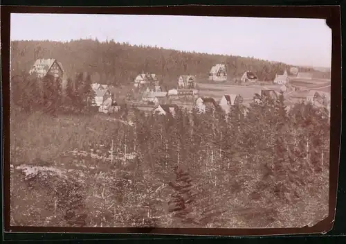 Fotografie Brück & Sohn Meissen, Ansicht Oberbärenburg i. Erzg., Blick vom Wald auf den Ort mit Villen