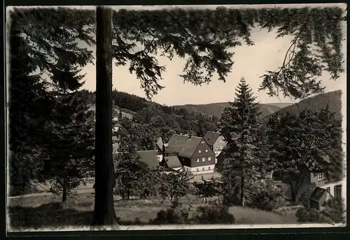 Fotografie Brück & Sohn Meissen, Ansicht Bärenfels i. Erzg., Blick auf die Wohnhäuser im oberen Teil