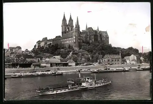 Fotografie Brück & Sohn Meissen, Ansicht Meissen i. Sa., Raddampfer  Pirna  auf der Elbe vor der Stadt