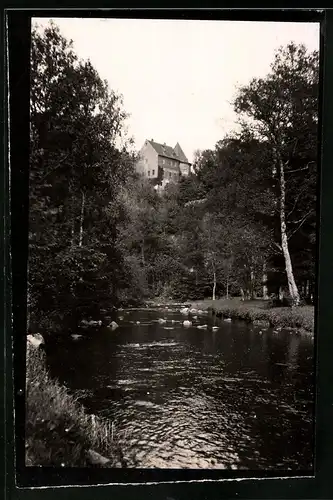 Fotografie Brück & Sohn Meissen, Ansicht Oberreinsberg i. Sa., Flusspartie mit Blick zum Schloss Reinsberg
